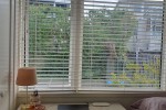 King Size bed and mattress, TV Console, TV, Microwave, wall Mirror, L...