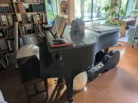 Baby grand black piano