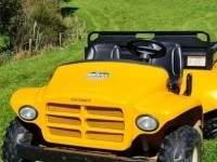 Cub Cadet 2006