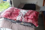 2 bedroom house move