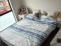4+ bedroom house move