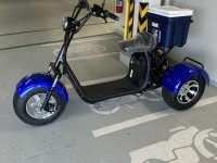 Motorcycle Monkey 3 wheel e bike 3 wheel golf bike