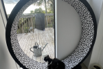 One Fast Cat XL Running Wheel - Made in USA - Black & Grey Leopard Fel...