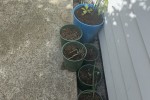 1 bedroom apartment move