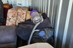 Junk removal