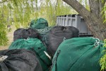 12 x large bags of vineyard netting