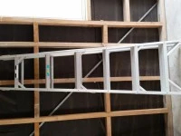 Domestic Ladder
