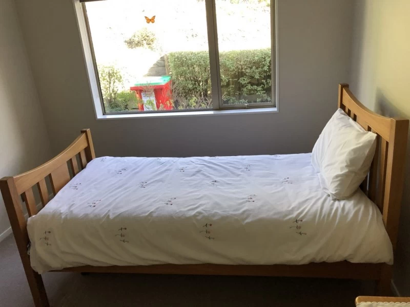 2 x single beds with mattresses