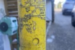 Pole Fuse Puller