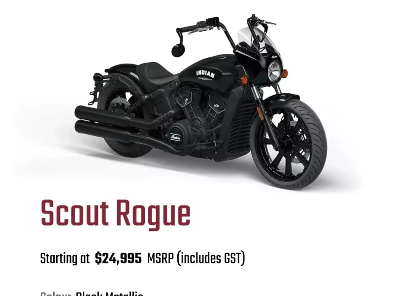 Motorcycle Harley Scout rogue