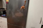 2 bedroom house move