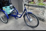 3 wheel electric  pedal trike