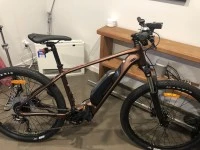 Electric mountain bike