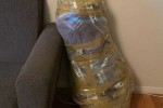 Rolled up carpet