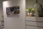 3 bedroom apartment move
