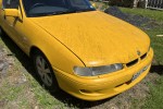 Holden Commodore