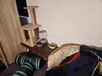 1 bedroom apartment move