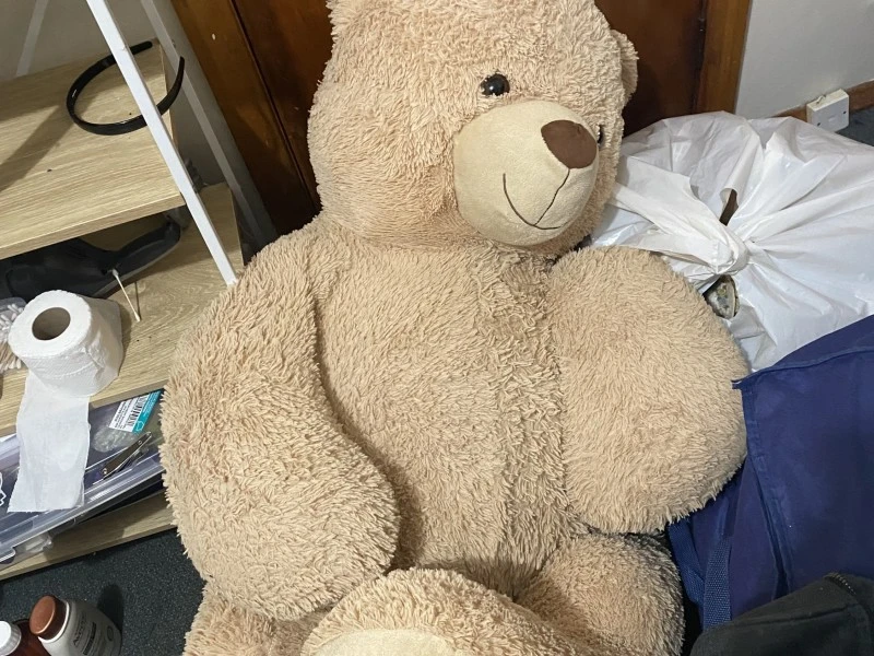 Teddy bear, clothing, random item  fan, books, crockery: , small teddy...
