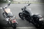 Motorcycle Harley davidson 2008 sportster