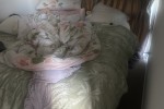 Queen bed