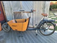 Cargo bike