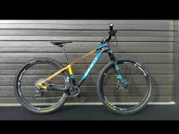 Adult bike