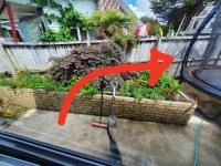 3 bedroom house move