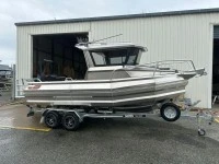 6m ali pontoon boat on trailer no motor