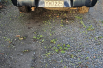 Ford Courier ute