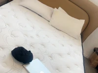 Queen bed and matress, Fridge