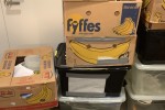 1 bedroom house move