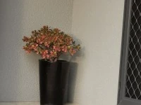 1 bedroom house move