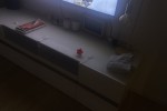 3 bedroom house move