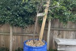 2 bedroom house move