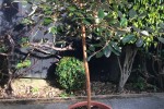 2 bedroom apartment move