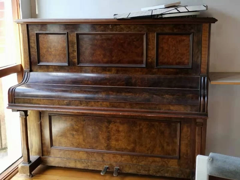 Wilhelm spaethe piano