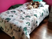 4+ bedroom house move