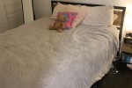 1 bedroom apartment move
