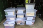 24 x 50L plastic bins of books and papers