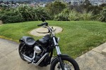 Motorcycle Harley davidson Streetbob