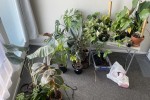 Double bed, TV 55 inches, Desk, Chair, Banana box (6), Guitar, Pots an...