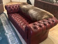 Chesterfield Leather Couch