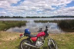 Motorcycle Suzuki gn125