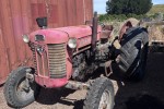 Massey Ferguson 65