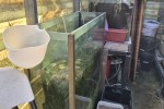 Around 8 Fish Tanks and stands, largest is 2.4 m long, boxes of aquari...