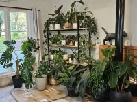 1 bedroom house move