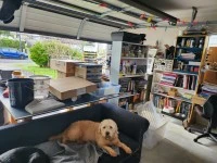 4+ bedroom house move