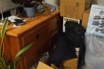 1 bedroom house move