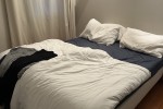 3 bedroom house move