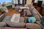 4+ bedroom house move
